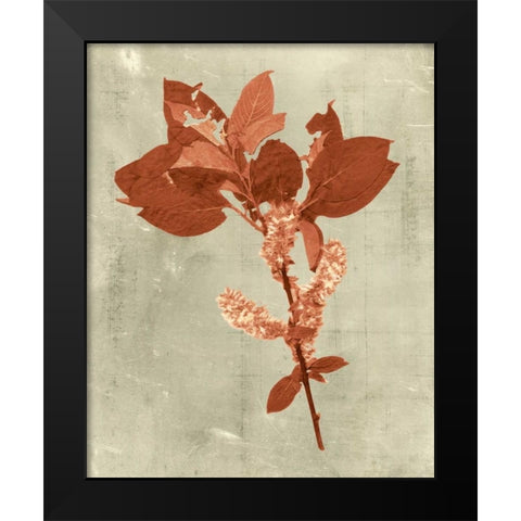 Impressions in Terra Cotta Black Modern Wood Framed Art Print by Vision Studio