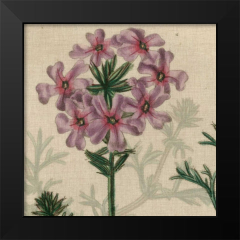 Floral Delight VI Black Modern Wood Framed Art Print by Vision Studio