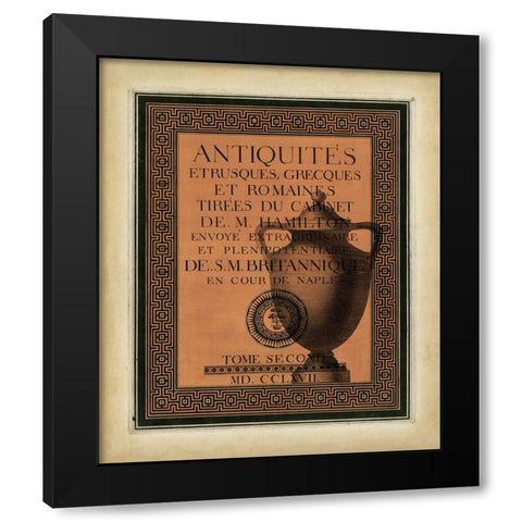 Antiquities Collection I Black Modern Wood Framed Art Print with Double Matting by Vision Studio