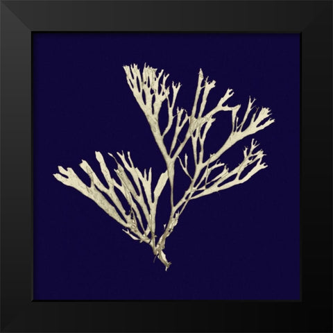 Seaweed on Navy II Black Modern Wood Framed Art Print by Vision Studio