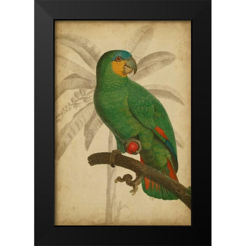 Parrot and Palm I Black Modern Wood Framed Art Print by Vision Studio