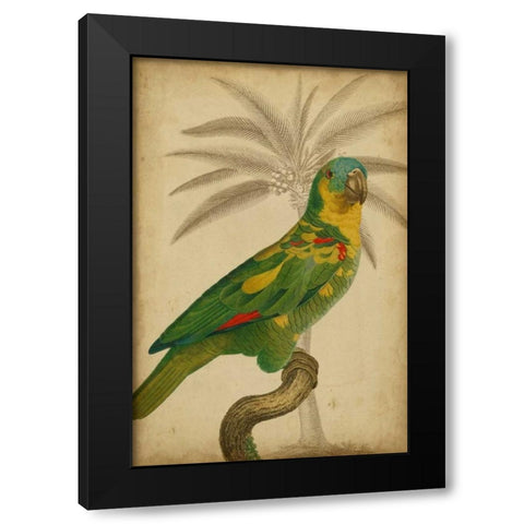 Parrot and Palm II Black Modern Wood Framed Art Print by Vision Studio