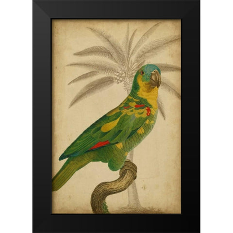Parrot and Palm II Black Modern Wood Framed Art Print by Vision Studio