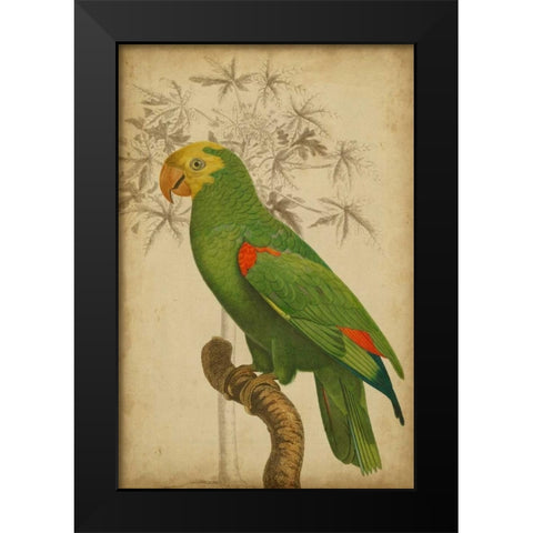 Parrot and Palm III Black Modern Wood Framed Art Print by Vision Studio