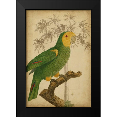 Parrot and Palm IV Black Modern Wood Framed Art Print by Vision Studio