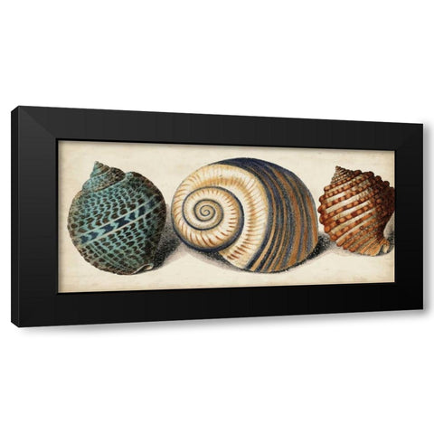 Shell Trio I Black Modern Wood Framed Art Print by Vision Studio