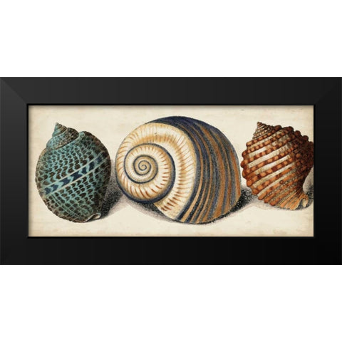 Shell Trio I Black Modern Wood Framed Art Print by Vision Studio