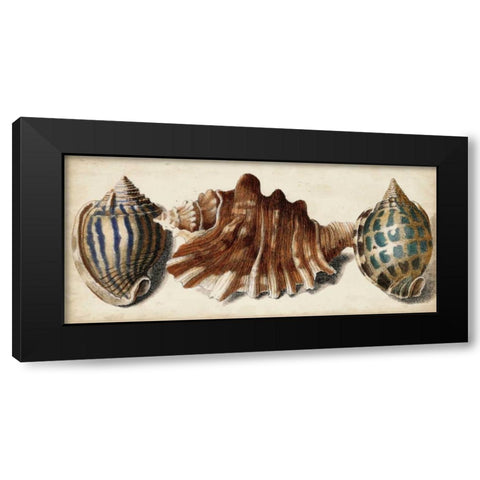 Shell Trio II Black Modern Wood Framed Art Print by Vision Studio