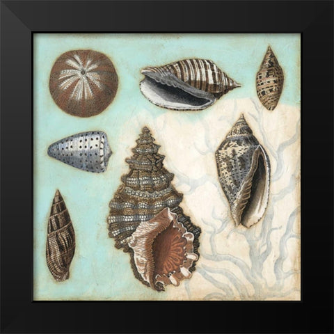 Antique Shell Collage I Black Modern Wood Framed Art Print by Meagher, Megan