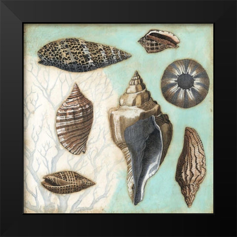 Antique Shell Collage II Black Modern Wood Framed Art Print by Meagher, Megan