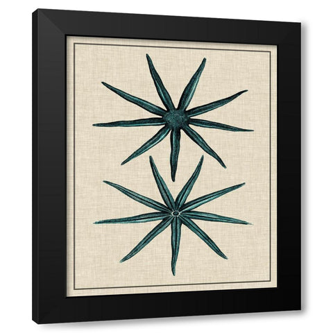 Coastal Starfish IV Black Modern Wood Framed Art Print with Double Matting by Vision Studio