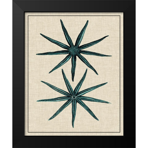 Coastal Starfish IV Black Modern Wood Framed Art Print by Vision Studio