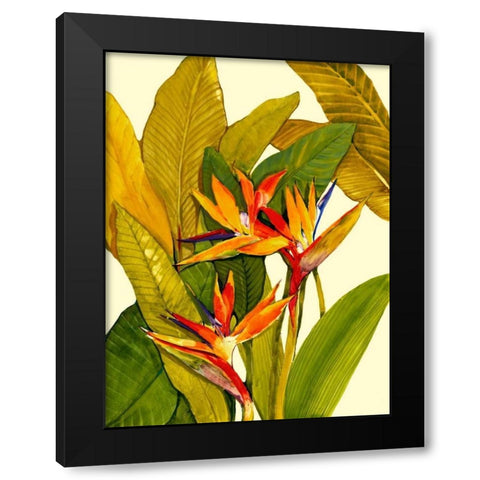 Tropical Bird of Paradise Black Modern Wood Framed Art Print by OToole, Tim