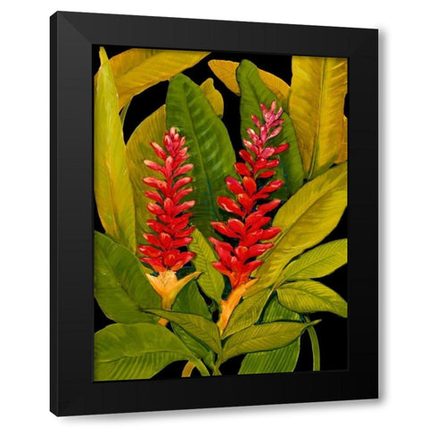 Dramatic Red Ginger Black Modern Wood Framed Art Print with Double Matting by OToole, Tim