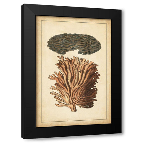 Coral Companion I Black Modern Wood Framed Art Print with Double Matting by Vision Studio