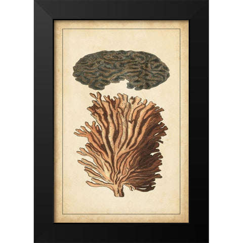 Coral Companion I Black Modern Wood Framed Art Print by Vision Studio