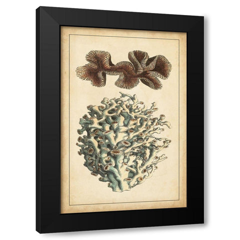 Coral Companion II Black Modern Wood Framed Art Print with Double Matting by Vision Studio