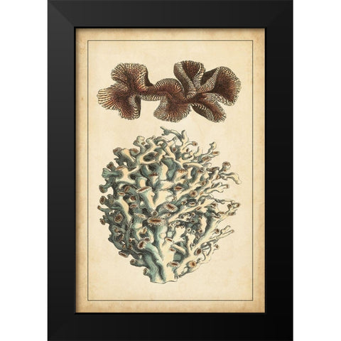 Coral Companion II Black Modern Wood Framed Art Print by Vision Studio