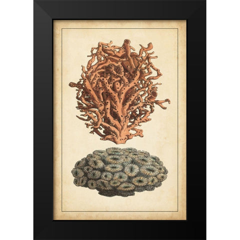 Coral Companion III Black Modern Wood Framed Art Print by Vision Studio