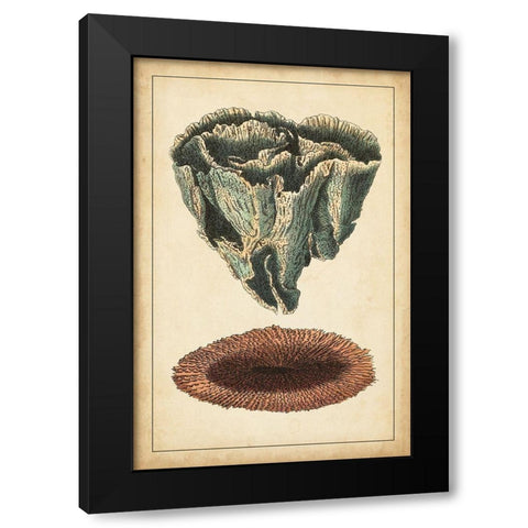 Coral Companion IV Black Modern Wood Framed Art Print with Double Matting by Vision Studio