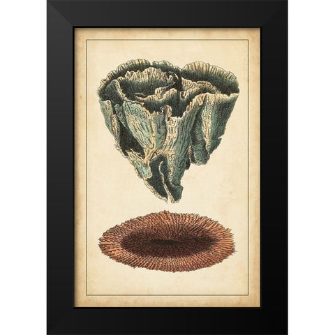 Coral Companion IV Black Modern Wood Framed Art Print by Vision Studio