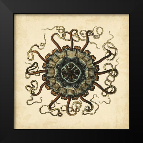 Gems of the Sea I Black Modern Wood Framed Art Print by Vision Studio