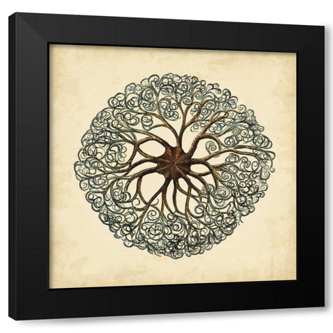 Gems of the Sea II Black Modern Wood Framed Art Print with Double Matting by Vision Studio