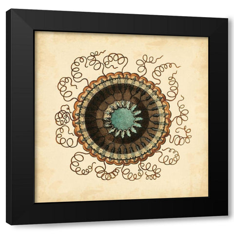 Gems of the Sea IV Black Modern Wood Framed Art Print with Double Matting by Vision Studio