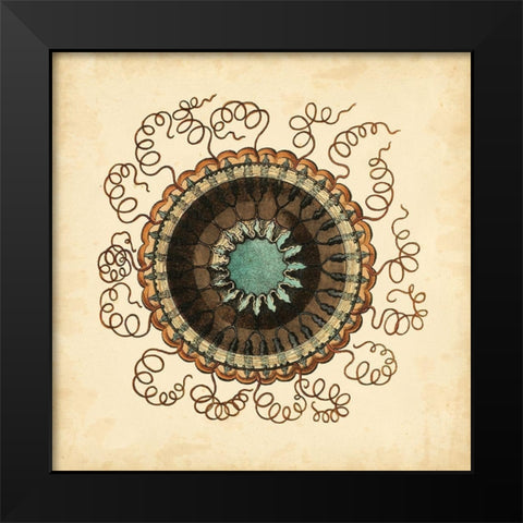 Gems of the Sea IV Black Modern Wood Framed Art Print by Vision Studio