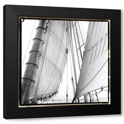 Under Sail II Black Modern Wood Framed Art Print by DeNardo, Laura