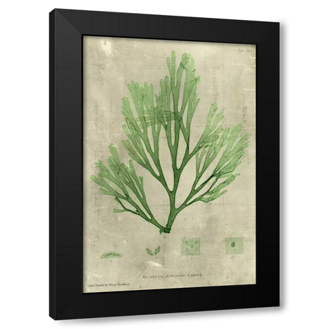 Emerald Seaweed II Black Modern Wood Framed Art Print by Unknown