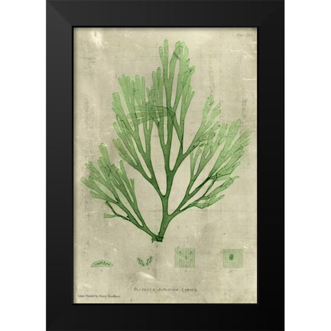 Emerald Seaweed II Black Modern Wood Framed Art Print by Unknown
