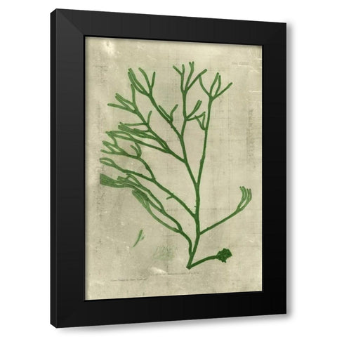 Emerald Seaweed III Black Modern Wood Framed Art Print by Unknown