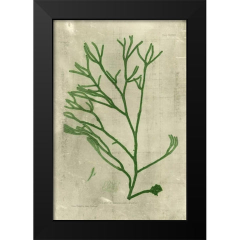 Emerald Seaweed III Black Modern Wood Framed Art Print by Unknown