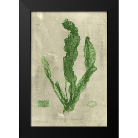 Emerald Seaweed IV Black Modern Wood Framed Art Print by Unknown