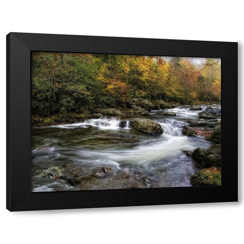 Autumn Dream Black Modern Wood Framed Art Print by Head, Danny