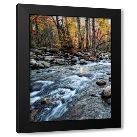 Porters Creek I Black Modern Wood Framed Art Print by Head, Danny