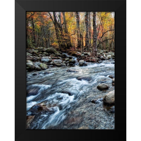 Porters Creek I Black Modern Wood Framed Art Print by Head, Danny