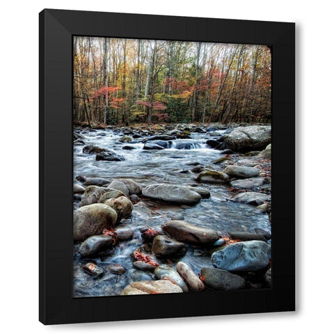Porters Creek II Black Modern Wood Framed Art Print with Double Matting by Head, Danny