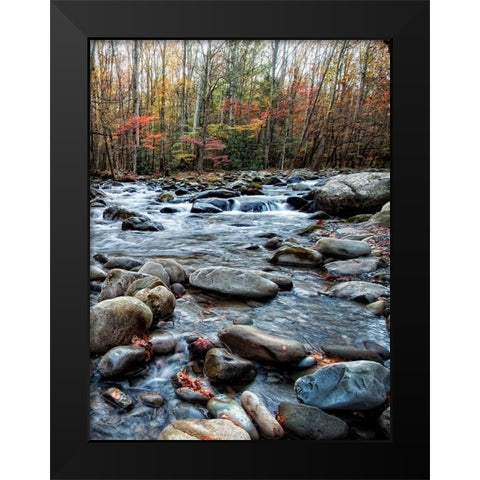 Porters Creek II Black Modern Wood Framed Art Print by Head, Danny