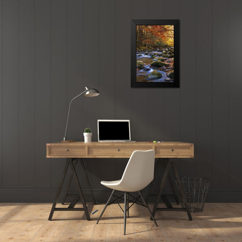 Autumn on Little River Black Modern Wood Framed Art Print by Head, Danny