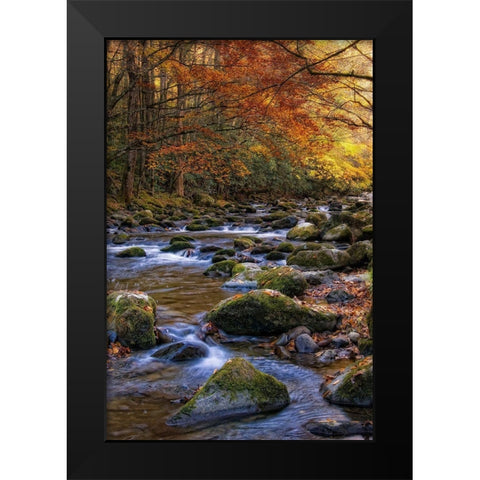 Autumn on Little River Black Modern Wood Framed Art Print by Head, Danny