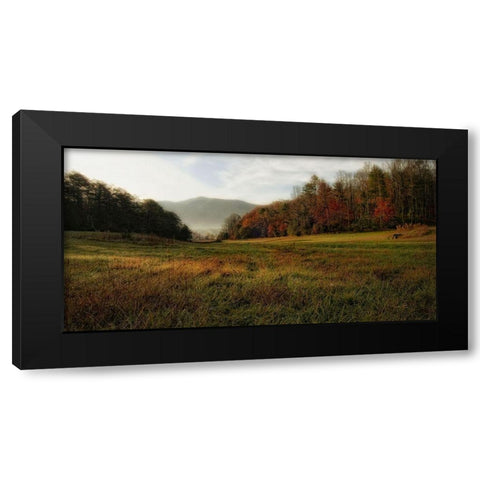 Warm Morning Light Black Modern Wood Framed Art Print with Double Matting by Head, Danny