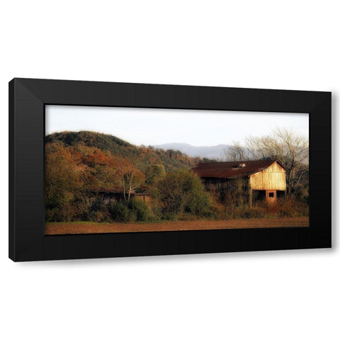 Past Prime Black Modern Wood Framed Art Print by Head, Danny