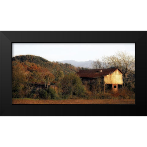 Past Prime Black Modern Wood Framed Art Print by Head, Danny