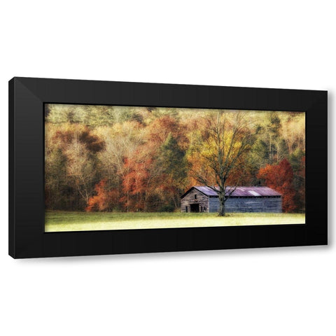 Waiting For the Harvest Black Modern Wood Framed Art Print by Head, Danny