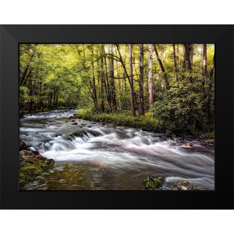 Sunlight on Jakes Creek II Black Modern Wood Framed Art Print by Head, Danny