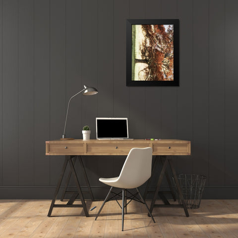 Sunbathed Oak I Black Modern Wood Framed Art Print by Head, Danny