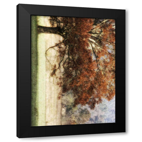 Sunbathed Oak II Black Modern Wood Framed Art Print with Double Matting by Head, Danny