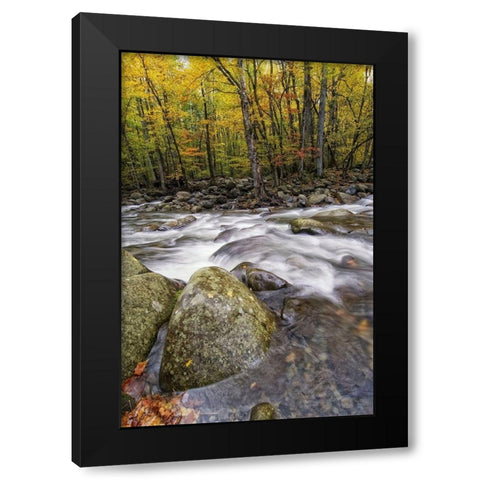 Roaring Waters I Black Modern Wood Framed Art Print by Head, Danny